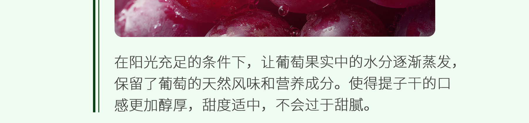 提子干追溯_07