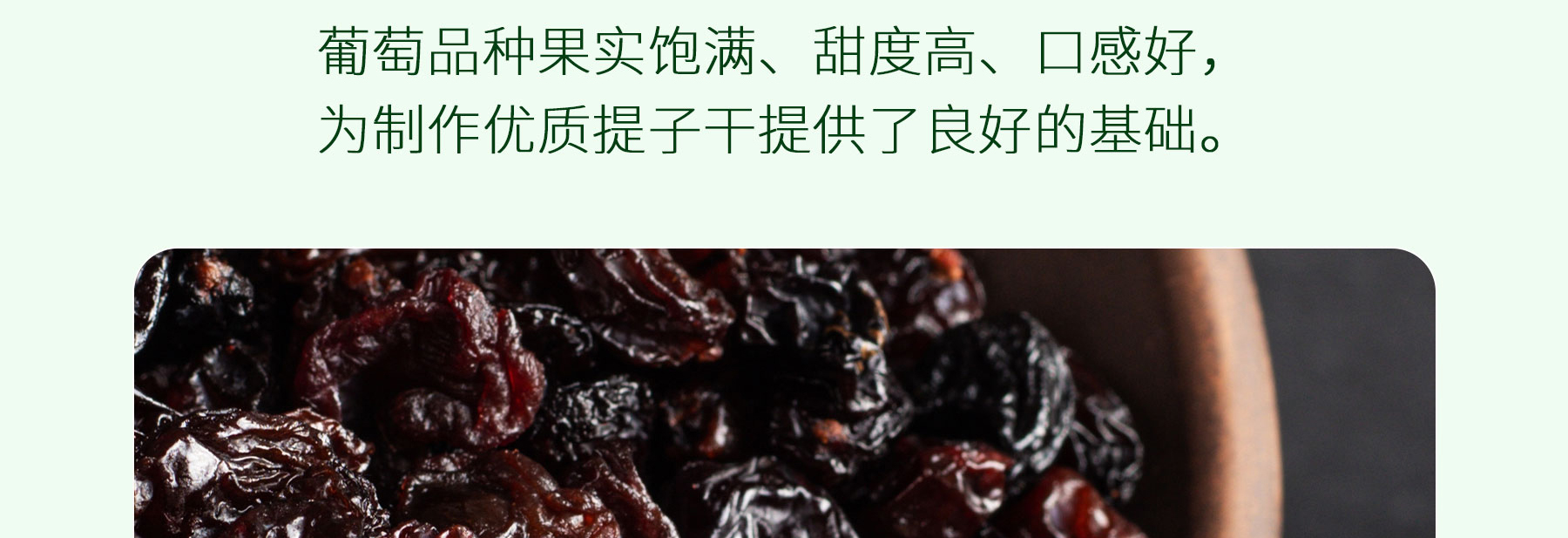 提子干追溯_02