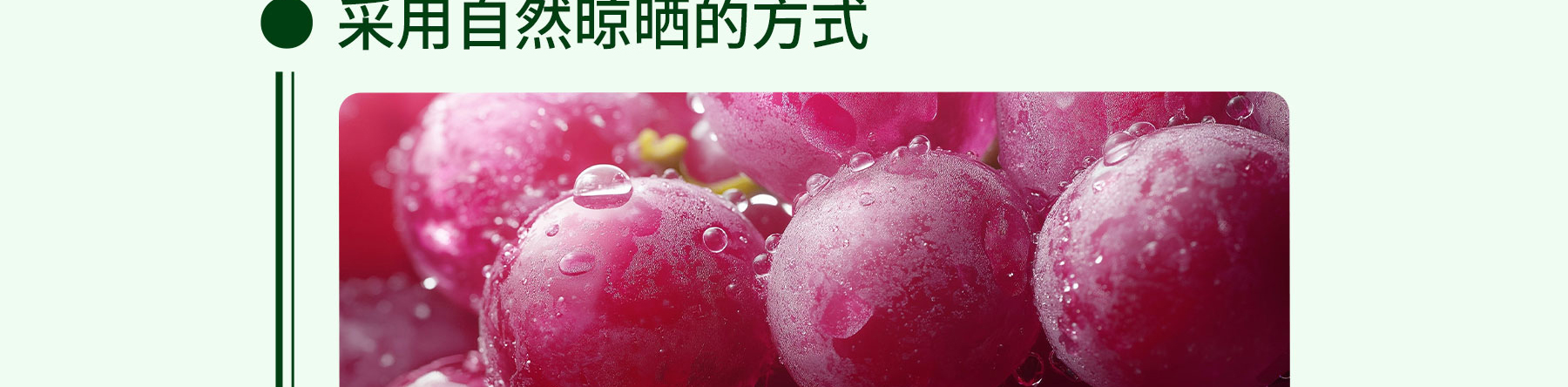 提子干追溯_06