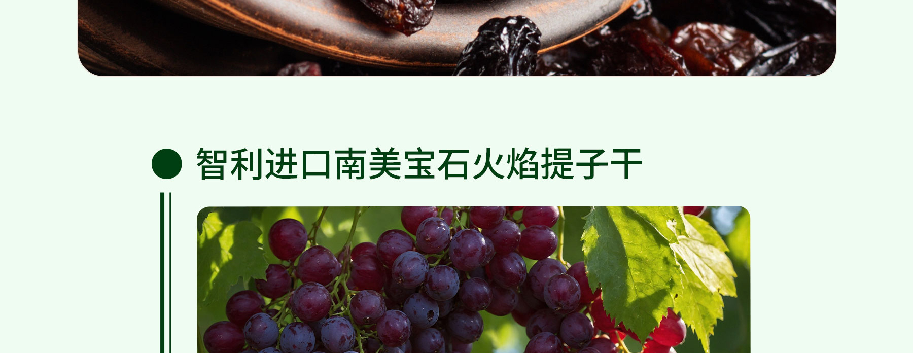 提子干追溯_04