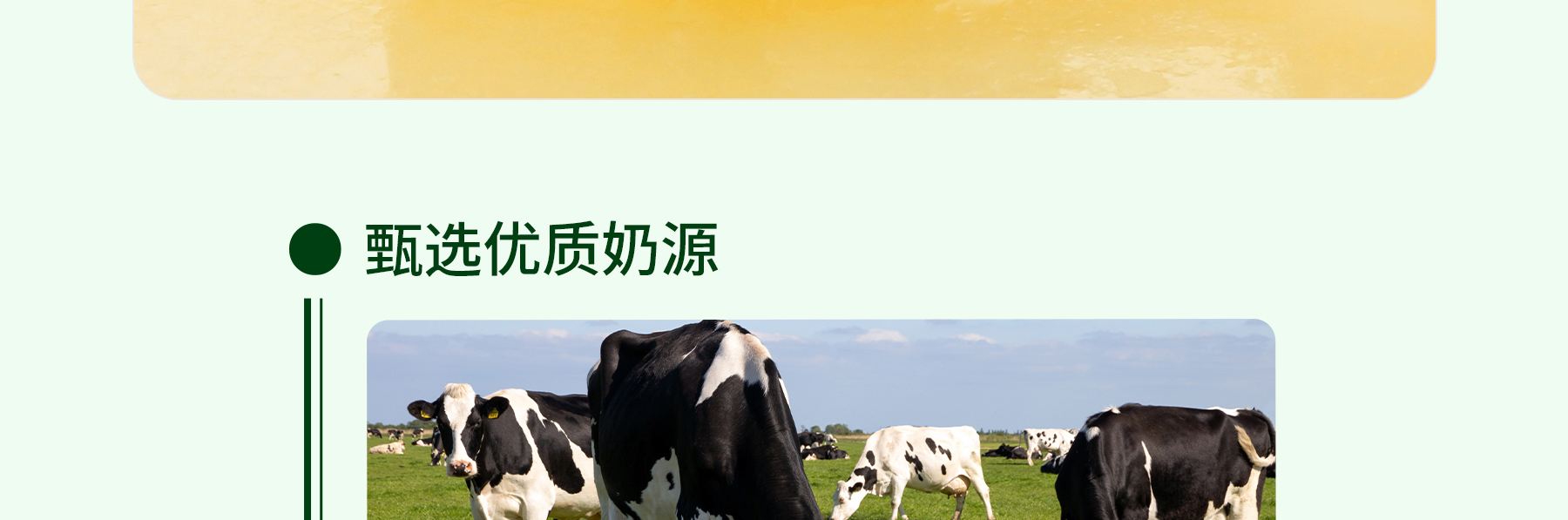 黄油追溯_03