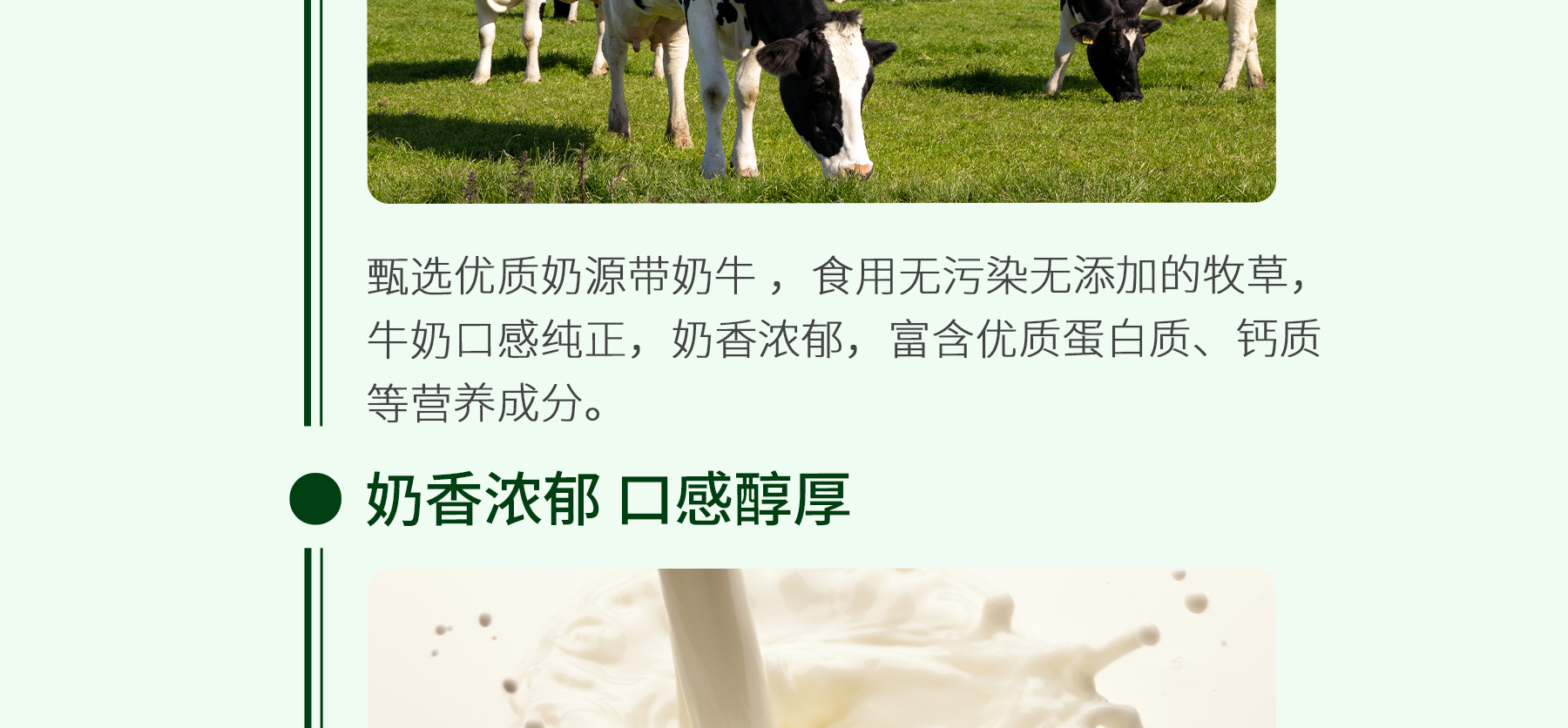 黄油追溯_04