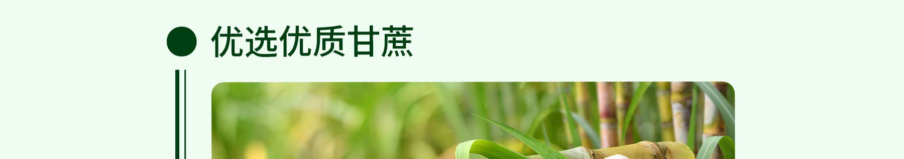 朗姆酒追溯_04
