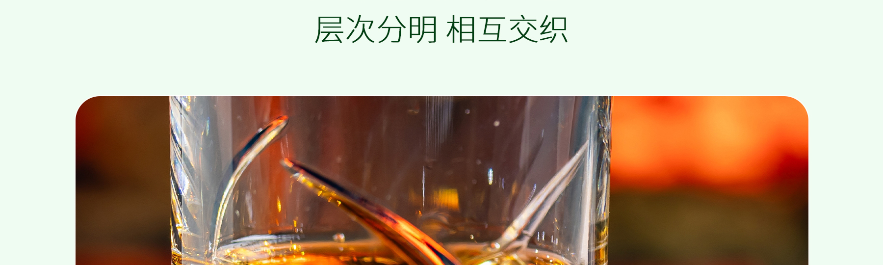 朗姆酒追溯_02
