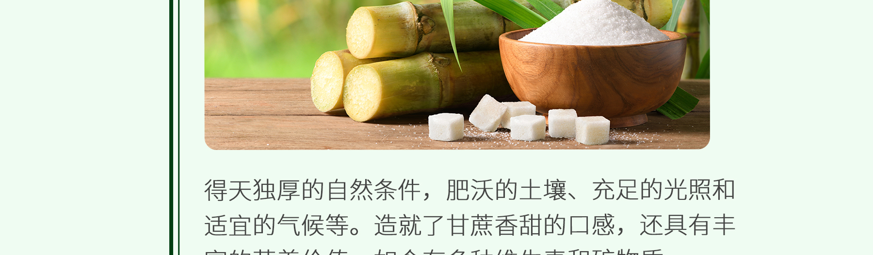 朗姆酒追溯_05
